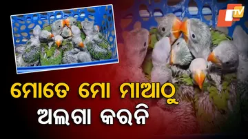 ମା’ କୋଳରୁ ଛୁଆ ଅଲଗା