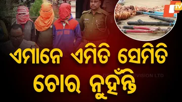 Thieves Arrested
