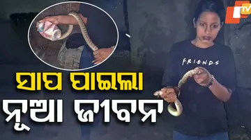Snake Rescued