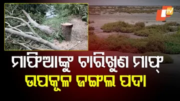 ପଦା ହେଲାଣି ଉପକୂଳ ଜଙ୍ଗଲ