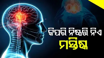 କିପରି ନିଷ୍ପତ୍ତି ନିଏ ମସ୍ତିଷ୍କ