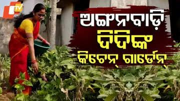 ଅଙ୍ଗନବାଡ଼ି ଦିଦିଙ୍କ କିଚେନ୍‌ ଗାର୍ଡେନ୍