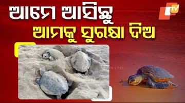 ଆମେ ଆସିଛୁ ଆମକୁ ସୁରକ୍ଷା ଦିଅ