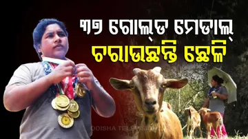 Plight Of Powerlifter 