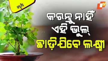 Why should never keep a broom near tulsi know its harmful effects