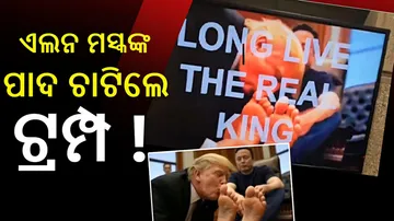 Trump-Elon Musk AI video