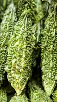 Bitter Gourd Health Benefits