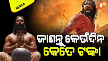 Chhaava worldwide box office collection day 14