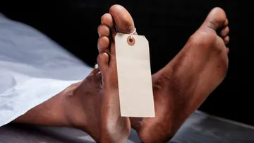  Job Aspirants Die 