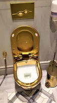  Expensive toilet 