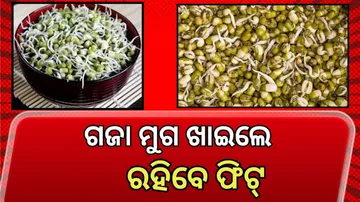 ଗଜା ମୁଗ ଖାଇଲେ ରହିବେ ଫିଟ୍ ।