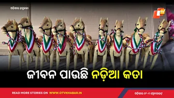 Coir Handicraft of Odisha