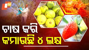 ‘ଚାଷ କରି କମାଉଛି ୪ ଲକ୍ଷ’