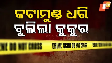 କୁକୁର ପାଟିରେ କଟାମୁଣ୍ଡ