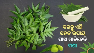 Neem Smoke Repels Mosquitoes Away In Summer