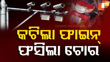 କଟିଲା ଫାଇନ୍‌, ଫସିଲା ଚୋର