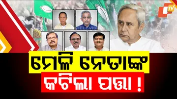 ମେଳି ନେତାଙ୍କ କଟିଲା ପତ୍ତା !