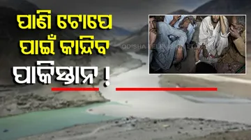 ସିନ୍ଧୁ ଜଳନୀତି