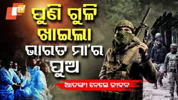 Social Activist Shot Dead