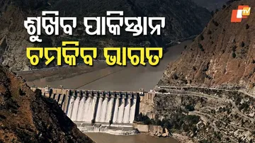 Sindhu Treaty