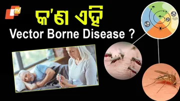Vector Borne Diseases