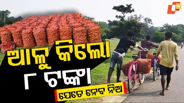 ଆଳୁ କିଲୋ ୮ ଟଙ୍କା