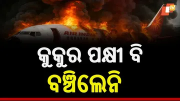 plane crash blaze reached 1000 degree