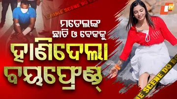 ହାଣିଦେଲା ବୟଫ୍ରେଣ୍ଡ