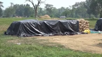 ଇନ୍‌ପୁଟ୍ ସବ୍‌ସିଡ ଲୁଟ୍