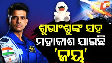 Tiny plush swan ‘Joy’ 