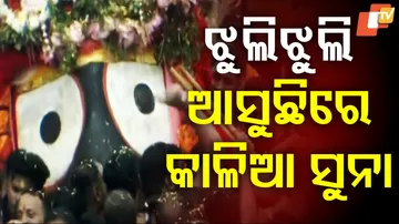 ଝୁଲି ଝୁଲି ଆସୁଛିରେ କାଳିଆ ସୁନା