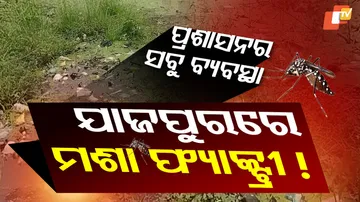 ମଶାଙ୍କ ଦୌରାତ୍ମ୍ୟ