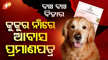 Dog Resident Certificate