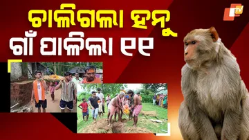 Balasore-Monkey-Death