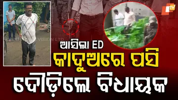 TMC-MLA-Arrested