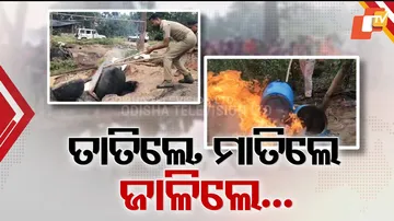 Women Rise Against Liquor Mafia in Odisha: Protests Spread Across Villages