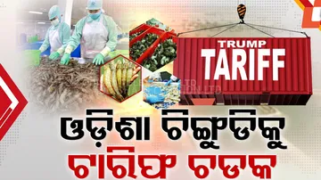 Odisha Prawn Industry Hit by Trump’s Tariff | 50% Duty Impact on Seafood Exports