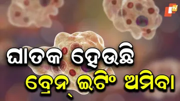 brain eating amoeba