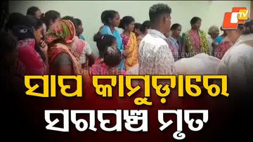 Sarpanch dies after being bitten by a snake