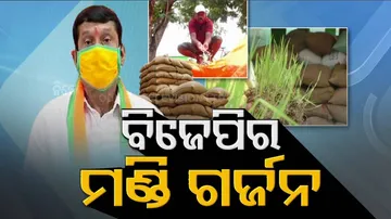 ସୁଧୁରୁନି ମଣ୍ଡି ଅବସ୍ଥା, ହଜାର ହଜାର କ୍ୱିଣ୍ଟାଲ ଧାନ ଗଜା ହେଲାଣି...