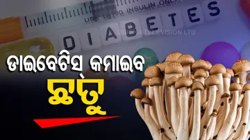 Mushrooms Health Benefits