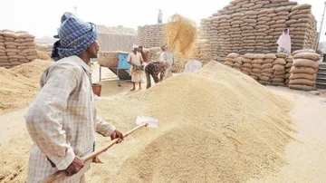 ଖରିଫ ଧାନ ସଂଗ୍ରହ: ଉଚିତ ମୂଲ୍ୟ ନିର୍ଦ୍ଧାରଣ ପାଇଁ ପାଶୱାନଙ୍କୁ ଚିଠି ଲେଖିଲେ ମୁଖ୍ୟମନ୍ତ୍ରୀ