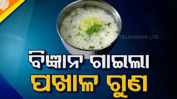 ପଖାଳ ଖାଇଲେ କରୋନା ଭାଇରସ୍‌ରୁ ମିଳିବ ନିସ୍ତାର?