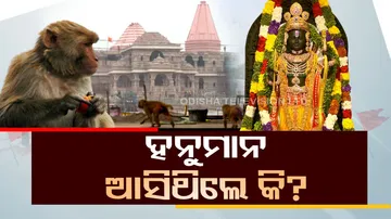 monkey enters ayodhya ram mandir