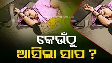 Man kills wife and daughter by using poisonous snake