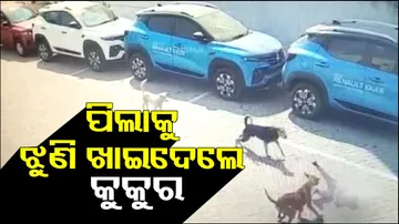 4 Year Old Mauled To Death By Street Dogs In Hyderabad