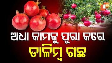 Vastu Tips