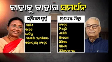 Know Whom to Support in the Presidential Polls 