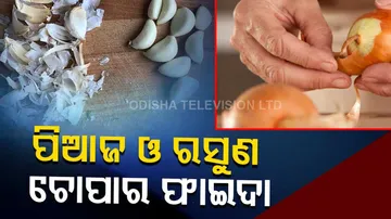 Know The Benefits And Uses Of Onion And Garlic Peels