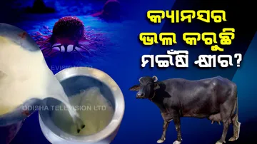 Cancer Prevention Tips